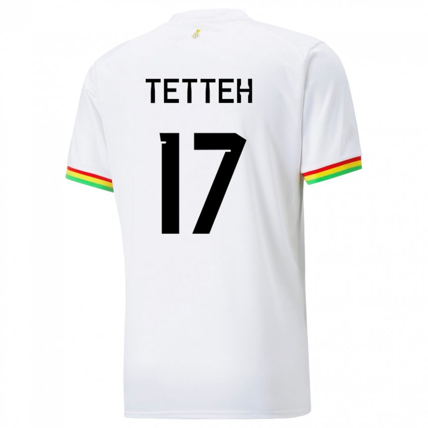 Niño Camiseta Ghana Benjamin Tetteh #17 Blanco 1ª Equipación 22-24 La Camisa Chile