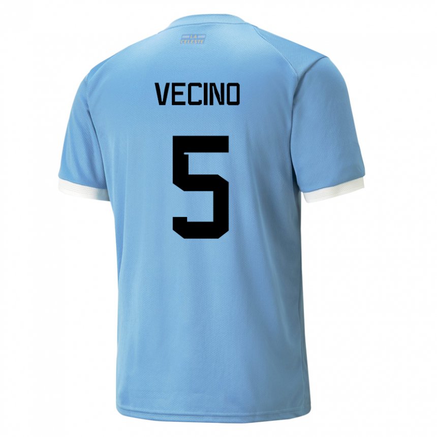 Niño Camiseta Uruguay Matias Vecino #5 Azul 1ª Equipación 22-24 La Camisa Chile