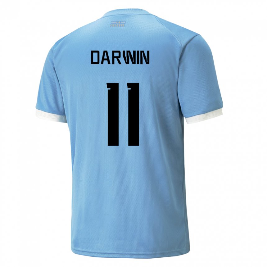 Niño Camiseta Uruguay Darwin Nunez #11 Azul 1ª Equipación 22-24 La Camisa Chile