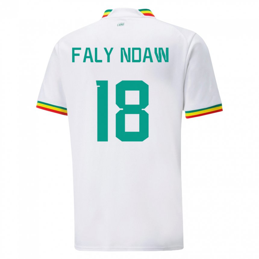 Niño Camiseta Senegal Faly Ndaw #18 Blanco 1ª Equipación 22-24 La Camisa Chile