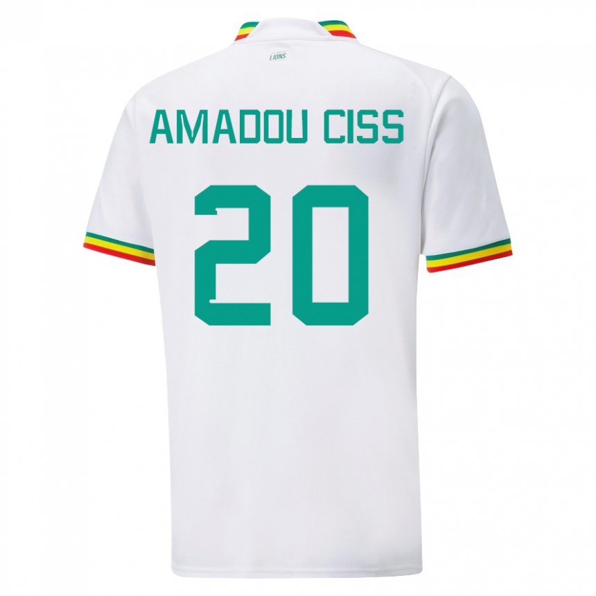 Niño Camiseta Senegal Amadou Ciss #20 Blanco 1ª Equipación 22-24 La Camisa Chile