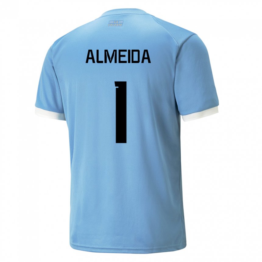 Niño Camiseta Uruguay Martin Almeida #1 Azul 1ª Equipación 22-24 La Camisa Chile