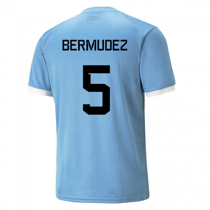 Hombre Camiseta Uruguay Karol Bermudez #5 Azul 1ª Equipación 22-24 La Camisa Chile