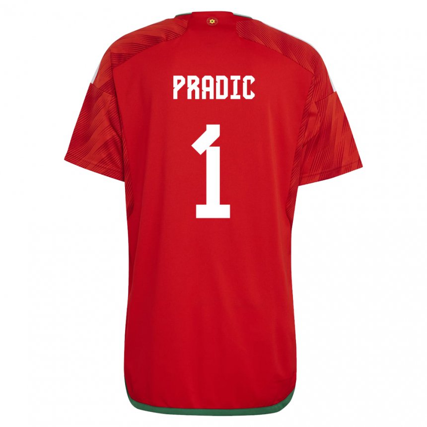 Hombre Camiseta Gales James Pradic #1 Rojo 1ª Equipación 22-24 La Camisa Chile