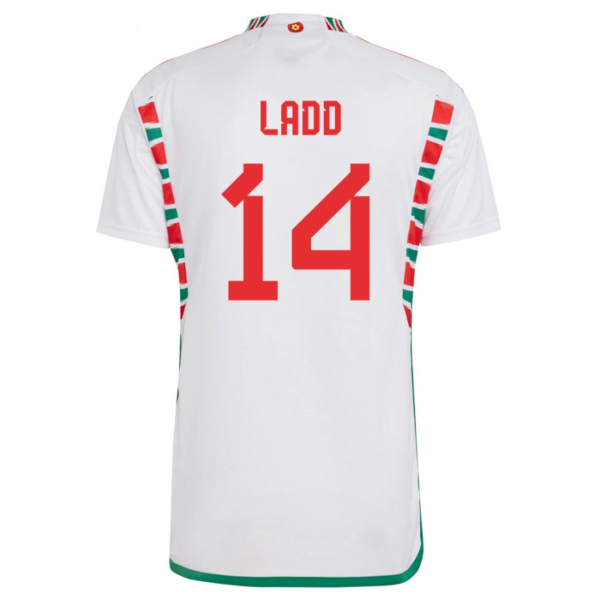 Hombre Camiseta Gales Hayley Ladd #14 Blanco 2ª Equipación 22-24 La Camisa Chile