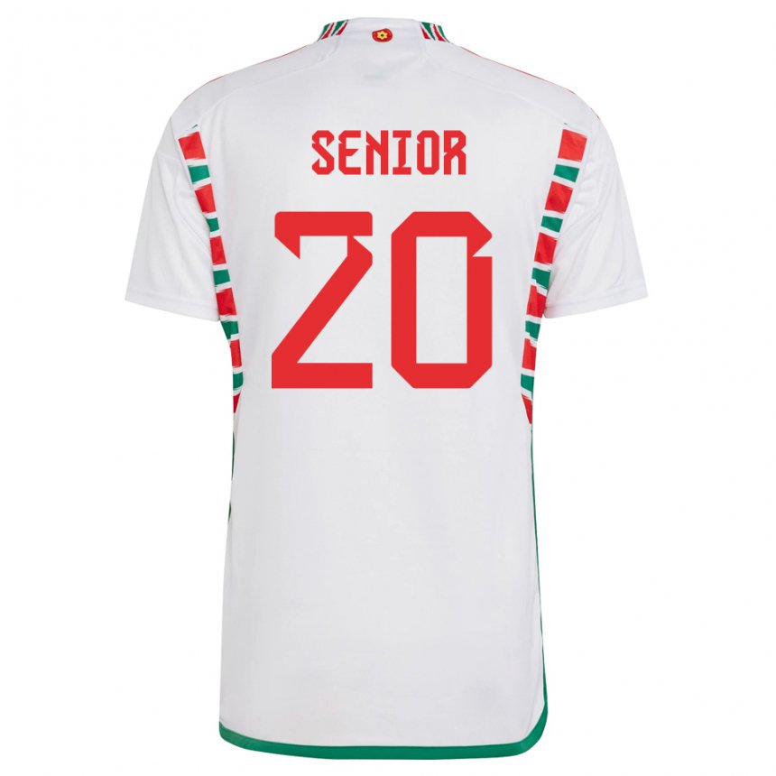 Hombre Camiseta Gales Matt Senior #20 Blanco 2ª Equipación 22-24 La Camisa Chile