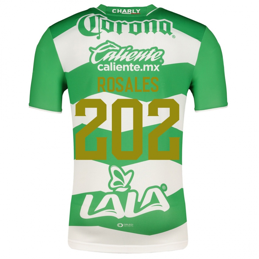 Niño Camiseta Luis Rosales #202 Verde 1ª Equipación 2023/24 La Camisa Chile