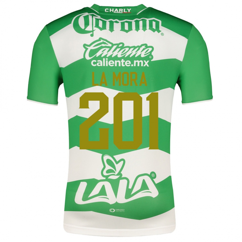 Hombre Camiseta Luis De La Mora #201 Verde 1ª Equipación 2023/24 La Camisa Chile