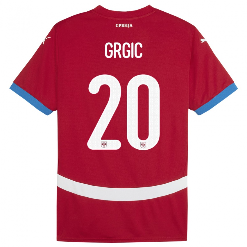 Niño Camiseta Serbia Dario Grgic #20 Rojo 1ª Equipación 24-26 La Camisa Chile