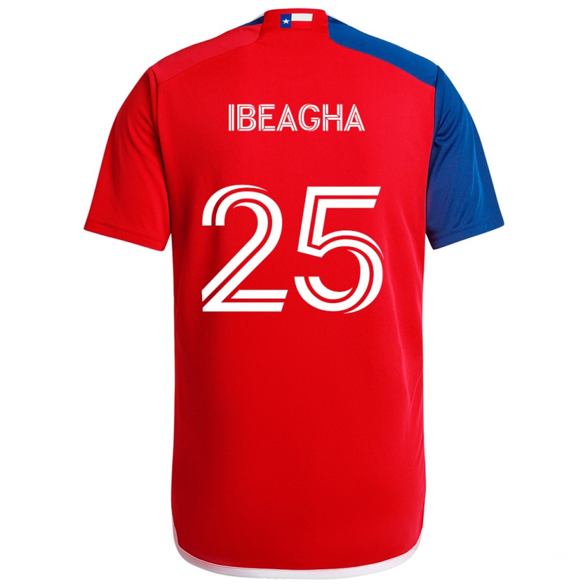 Niño Camiseta Sebastien Ibeagha #25 Azul Rojo 1ª Equipación 2024/25 La Camisa Chile