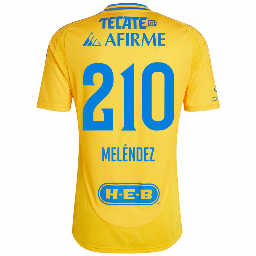 Niño Camiseta Marcelo Meléndez #210 Oro Amarillo 1ª Equipación 2024/25 La Camisa Chile