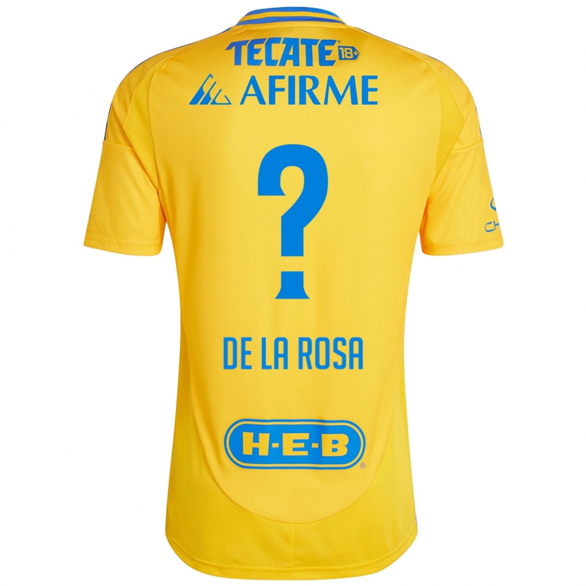 Niño Camiseta Luis De La Rosa #0 Oro Amarillo 1ª Equipación 2024/25 La Camisa Chile