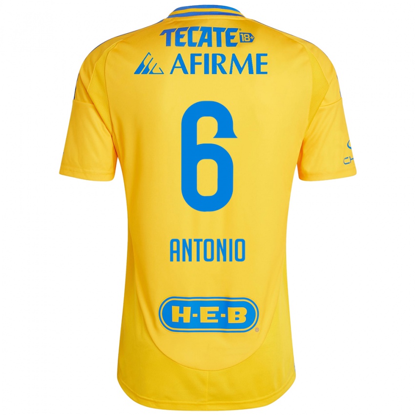 Niño Camiseta Nancy Antonio #6 Oro Amarillo 1ª Equipación 2024/25 La Camisa Chile