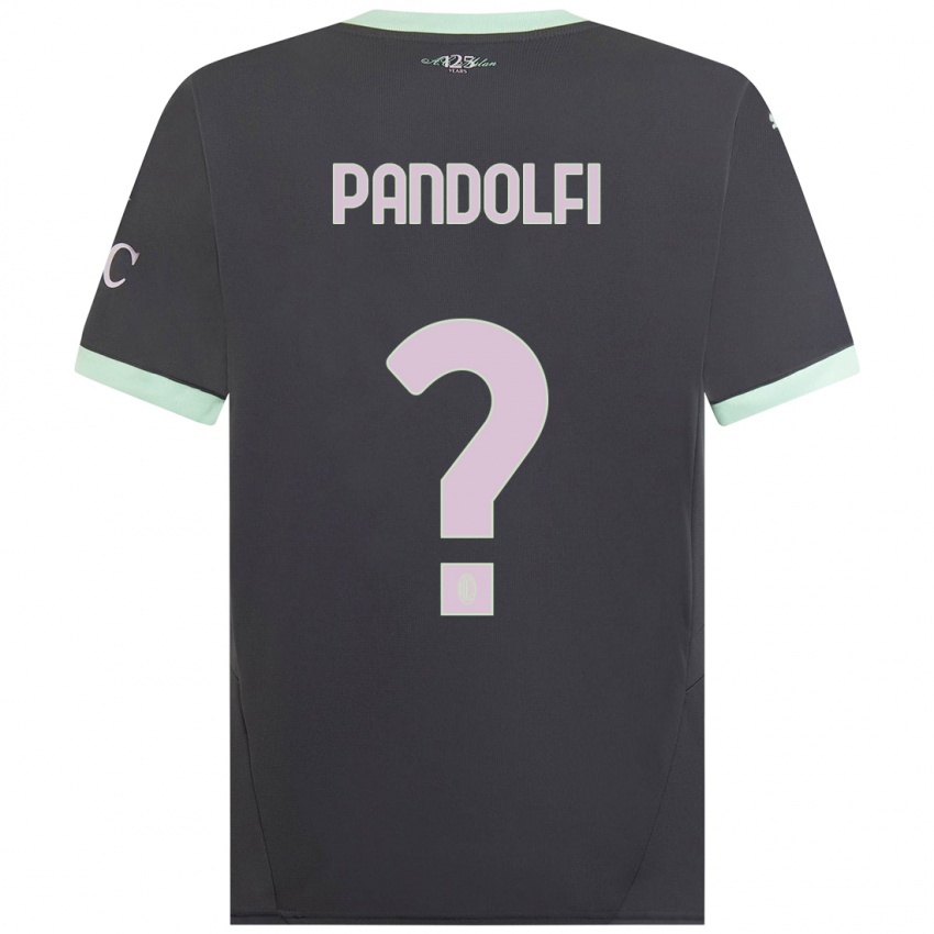 Mujer Camiseta Fabio Pandolfi #0 Gris Equipación Tercera 2024/25 La Camisa Chile