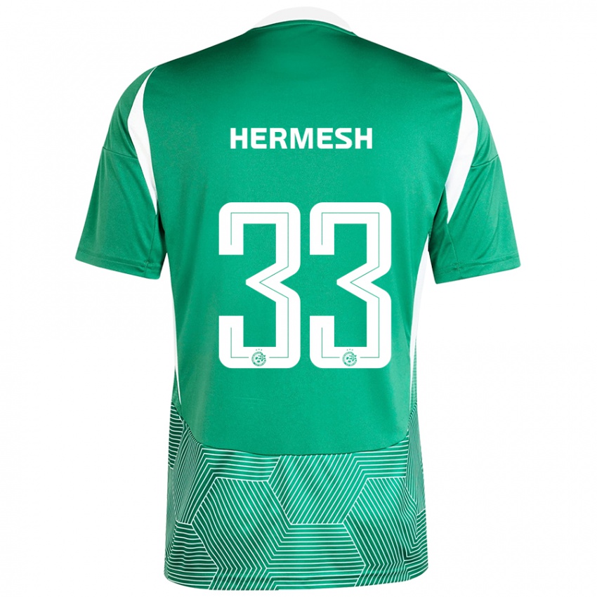 Niño Camiseta Liam Hermesh #33 Verde Blanco 1ª Equipación 2024/25 La Camisa Chile