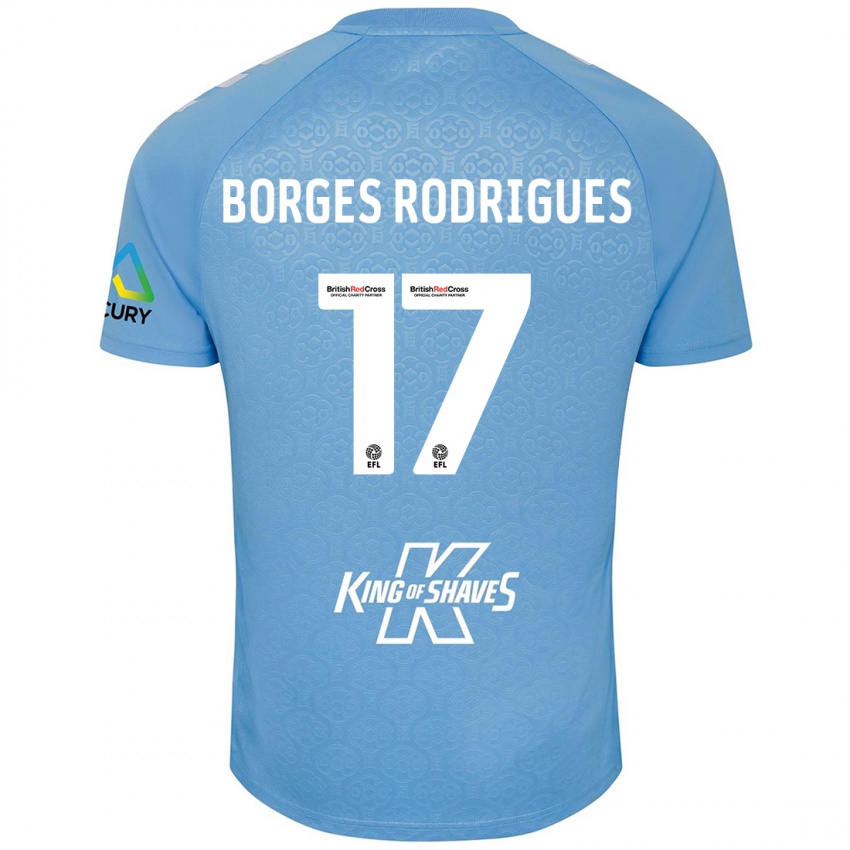 Niño Camiseta Raphael Borges Rodrigues #17 Azul Blanco 1ª Equipación 2024/25 La Camisa Chile