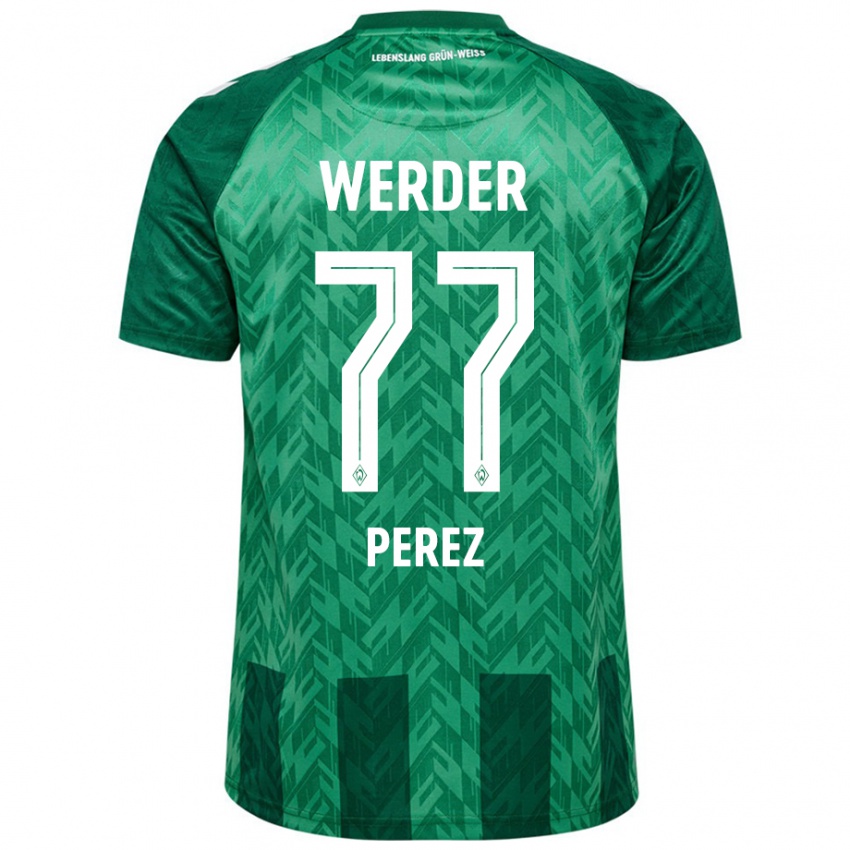 Mujer Camiseta Catalina Pérez Jaramillo #77 Verde 1ª Equipación 2024/25 La Camisa Chile